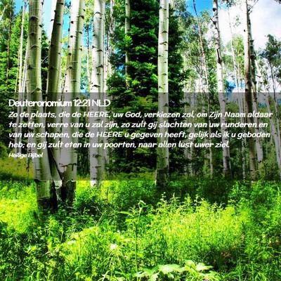 Picture 02 - Deuteronomium 12:21 NLD - Zo de plaats, die de HEERE, uw God, verkiezen - Bible Verse Picture