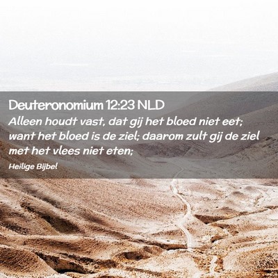 Picture 02 - Deuteronomium 12:23 NLD - Alleen houdt vast, dat gij het bloed niet eet; - Bible Verse Picture
