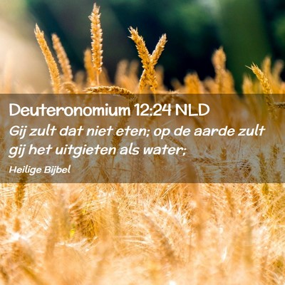 Picture 02 - Deuteronomium 12:24 NLD - Gij zult dat niet eten; op de aarde zult gij het - Bible Verse Picture
