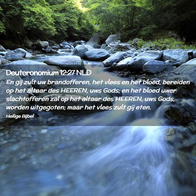 Picture 02 - Deuteronomium 12:27 NLD - En gij zult uw brandofferen, het vlees en het - Bible Verse Picture