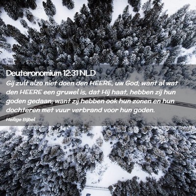 Picture 02 - Deuteronomium 12:31 NLD - Gij zult alzo niet doen den HEERE, uw God; want - Bible Verse Picture
