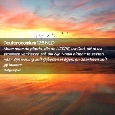 Picture 02 - Deuteronomium 12:5 NLD - Maar naar de plaats, die de HEERE, uw God, uit al - Bible Verse Picture