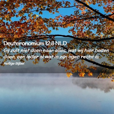 Picture 02 - Deuteronomium 12:8 NLD - Gij zult niet doen naar alles, wat wij hier heden - Bible Verse Picture