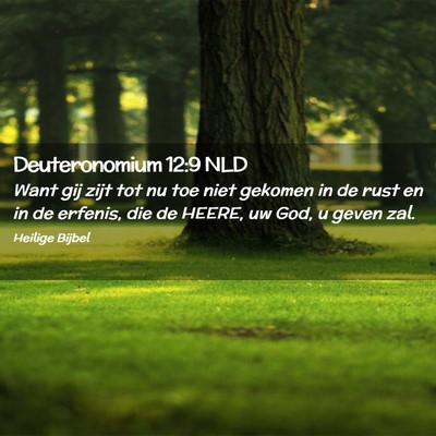 Picture 02 - Deuteronomium 12:9 NLD - Want gij zijt tot nu toe niet gekomen in de rust - Bible Verse Picture