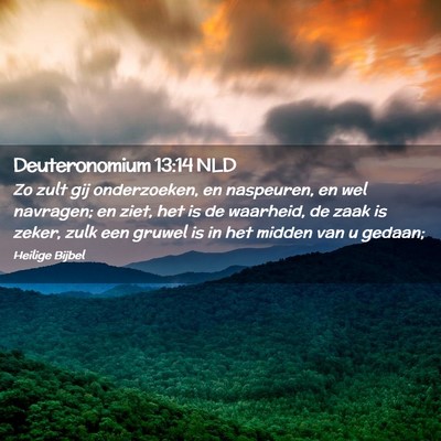 Picture 02 - Deuteronomium 13:14 NLD - Zo zult gij onderzoeken, en naspeuren, en wel - Bible Verse Picture