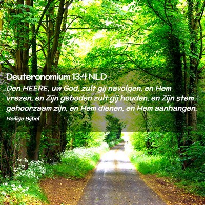 Picture 02 - Deuteronomium 13:4 NLD - Den HEERE, uw God, zult gij navolgen, en Hem - Bible Verse Picture