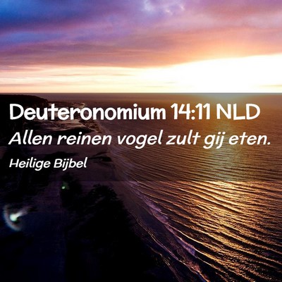 Picture 02 - Deuteronomium 14:11 NLD - Allen reinen vogel zult gij - Bible Verse Picture
