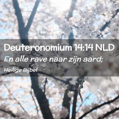 Picture 02 - Deuteronomium 14:14 NLD - En alle rave naar zijn - Bible Verse Picture