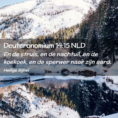 Picture 02 - Deuteronomium 14:15 NLD - En de struis, en de nachtuil, en de koekoek, en - Bible Verse Picture