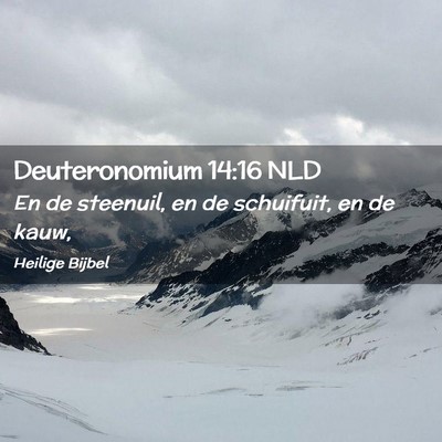 Picture 02 - Deuteronomium 14:16 NLD - En de steenuil, en de schuifuit, en de - Bible Verse Picture
