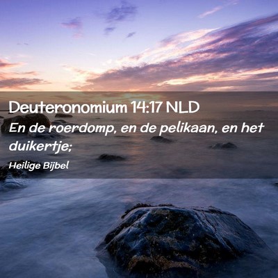 Picture 02 - Deuteronomium 14:17 NLD - En de roerdomp, en de pelikaan, en het - Bible Verse Picture