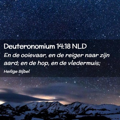 Picture 02 - Deuteronomium 14:18 NLD - En de ooievaar, en de reiger naar zijn aard; en - Bible Verse Picture