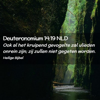 Picture 02 - Deuteronomium 14:19 NLD - Ook al het kruipend gevogelte zal ulieden onrein - Bible Verse Picture