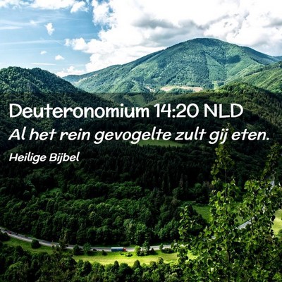 Picture 02 - Deuteronomium 14:20 NLD - Al het rein gevogelte zult gij - Bible Verse Picture