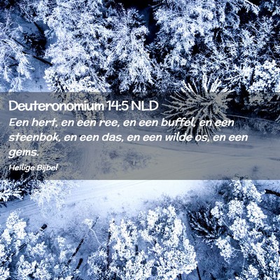 Picture 02 - Deuteronomium 14:5 NLD - Een hert, en een ree, en een buffel, en een - Bible Verse Picture