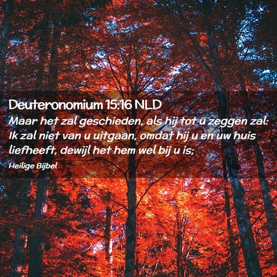 Picture 02 - Deuteronomium 15:16 NLD - Maar het zal geschieden, als hij tot u zeggen - Bible Verse Picture