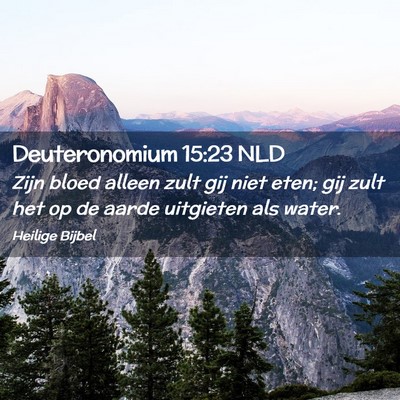 Picture 02 - Deuteronomium 15:23 NLD - Zijn bloed alleen zult gij niet eten; gij zult - Bible Verse Picture