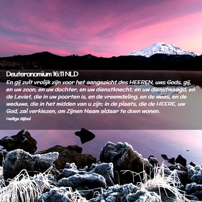 Picture 02 - Deuteronomium 16:11 NLD - En gij zult vrolijk zijn voor het aangezicht des - Bible Verse Picture