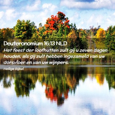 Picture 02 - Deuteronomium 16:13 NLD - Het feest der loofhutten zult gij u zeven dagen - Bible Verse Picture