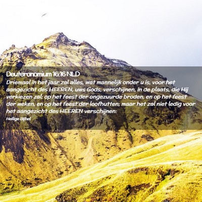 Picture 02 - Deuteronomium 16:16 NLD - Driemaal in het jaar zal alles, wat mannelijk - Bible Verse Picture