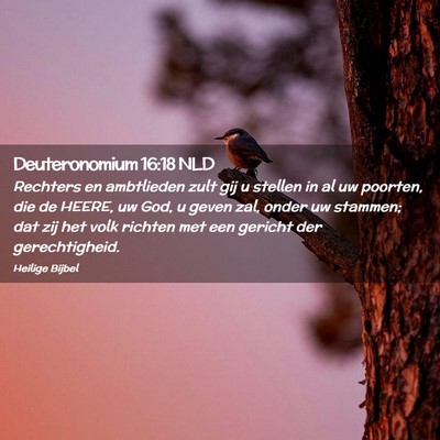 Picture 02 - Deuteronomium 16:18 NLD - Rechters en ambtlieden zult gij u stellen in al - Bible Verse Picture