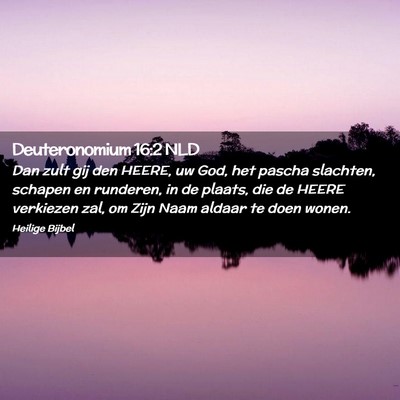 Picture 02 - Deuteronomium 16:2 NLD - Dan zult gij den HEERE, uw God, het pascha - Bible Verse Picture