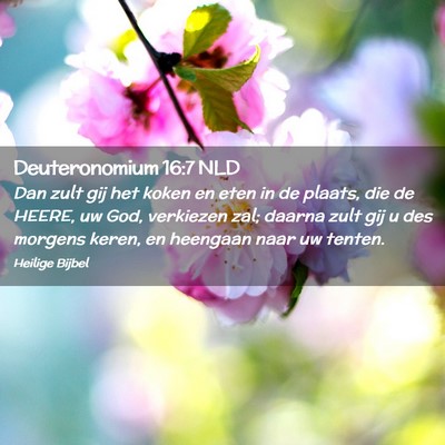 Picture 02 - Deuteronomium 16:7 NLD - Dan zult gij het koken en eten in de plaats, die - Bible Verse Picture