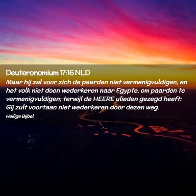 Picture 02 - Deuteronomium 17:16 NLD - Maar hij zal voor zich de paarden niet - Bible Verse Picture