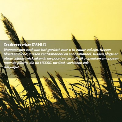 Picture 02 - Deuteronomium 17:8 NLD - Wanneer een zaak aan het gericht voor u te zwaar - Bible Verse Picture
