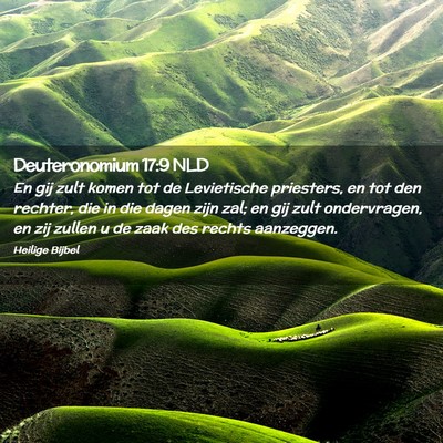 Picture 02 - Deuteronomium 17:9 NLD - En gij zult komen tot de Levietische priesters, - Bible Verse Picture