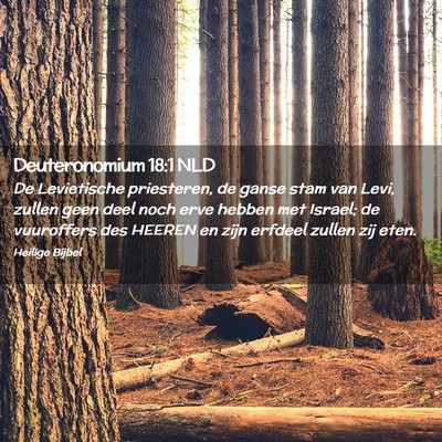 Picture 02 - Deuteronomium 18:1 NLD - De Levietische priesteren, de ganse stam van - Bible Verse Picture