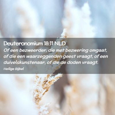 Picture 02 - Deuteronomium 18:11 NLD - Of een bezweerder, die met bezwering omgaat, of - Bible Verse Picture