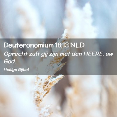 Picture 02 - Deuteronomium 18:13 NLD - Oprecht zult gij zijn met den HEERE, uw - Bible Verse Picture