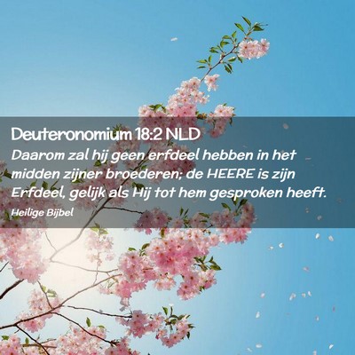Picture 02 - Deuteronomium 18:2 NLD - Daarom zal hij geen erfdeel hebben in het midden - Bible Verse Picture