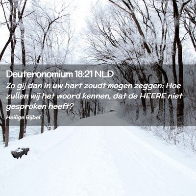 Picture 02 - Deuteronomium 18:21 NLD - Zo gij dan in uw hart zoudt mogen zeggen: Hoe - Bible Verse Picture