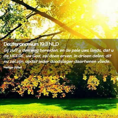 Picture 02 - Deuteronomium 19:3 NLD - Gij zult u den weg bereiden, en de pale uws - Bible Verse Picture