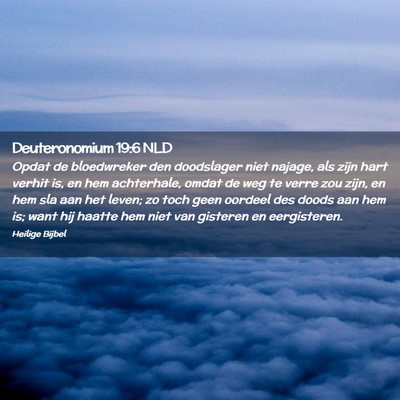 Picture 02 - Deuteronomium 19:6 NLD - Opdat de bloedwreker den doodslager niet najage, - Bible Verse Picture