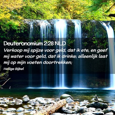 Picture 02 - Deuteronomium 2:28 NLD - Verkoop mij spijze voor geld, dat ik ete, en geef - Bible Verse Picture