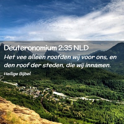 Picture 02 - Deuteronomium 2:35 NLD - Het vee alleen roofden wij voor ons, en den roof - Bible Verse Picture