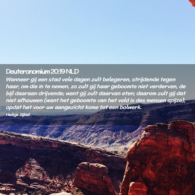 Picture 02 - Deuteronomium 20:19 NLD - Wanneer gij een stad vele dagen zult belegeren, - Bible Verse Picture