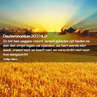 Picture 02 - Deuteronomium 20:3 NLD - En tot hen zeggen: Hoort, Israel! gijlieden zijt - Bible Verse Picture