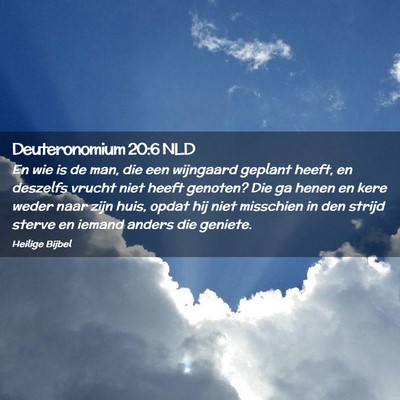 Picture 02 - Deuteronomium 20:6 NLD - En wie is de man, die een wijngaard geplant - Bible Verse Picture