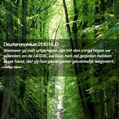 Picture 02 - Deuteronomium 21:10 NLD - Wanneer gij zult uitgetogen zijn tot den strijd - Bible Verse Picture