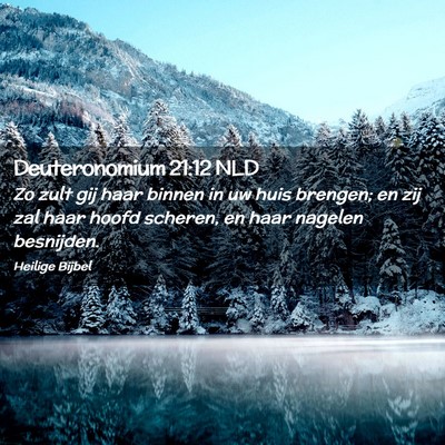 Picture 02 - Deuteronomium 21:12 NLD - Zo zult gij haar binnen in uw huis brengen; en - Bible Verse Picture