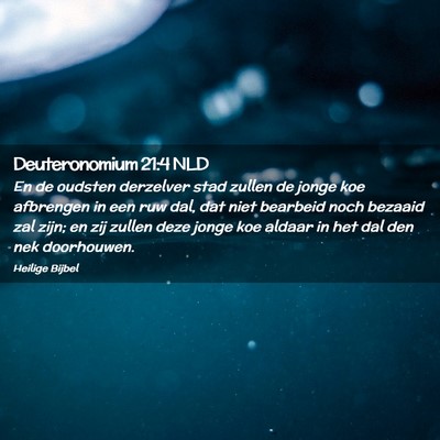 Picture 02 - Deuteronomium 21:4 NLD - En de oudsten derzelver stad zullen de jonge koe - Bible Verse Picture
