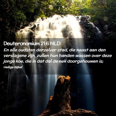 Picture 02 - Deuteronomium 21:6 NLD - En alle oudsten derzelver stad, die naast aan den - Bible Verse Picture