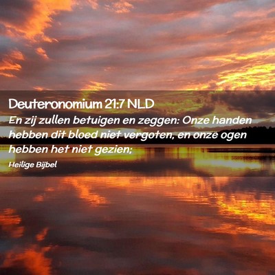 Picture 02 - Deuteronomium 21:7 NLD - En zij zullen betuigen en zeggen: Onze handen - Bible Verse Picture
