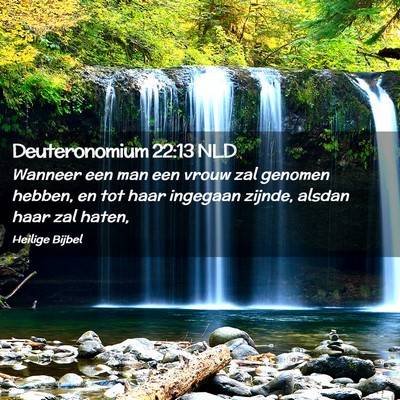Picture 02 - Deuteronomium 22:13 NLD - Wanneer een man een vrouw zal genomen hebben, en - Bible Verse Picture