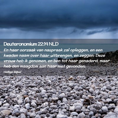 Picture 02 - Deuteronomium 22:14 NLD - En haar oorzaak van naspraak zal opleggen, en een - Bible Verse Picture