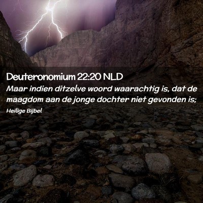 Picture 02 - Deuteronomium 22:20 NLD - Maar indien ditzelve woord waarachtig is, dat de - Bible Verse Picture